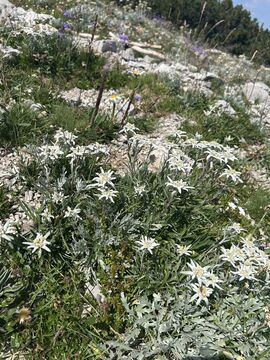 Foto Š. Polak Bizjak (4)